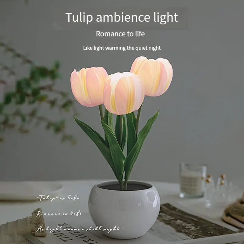 Tulip Nightlight 