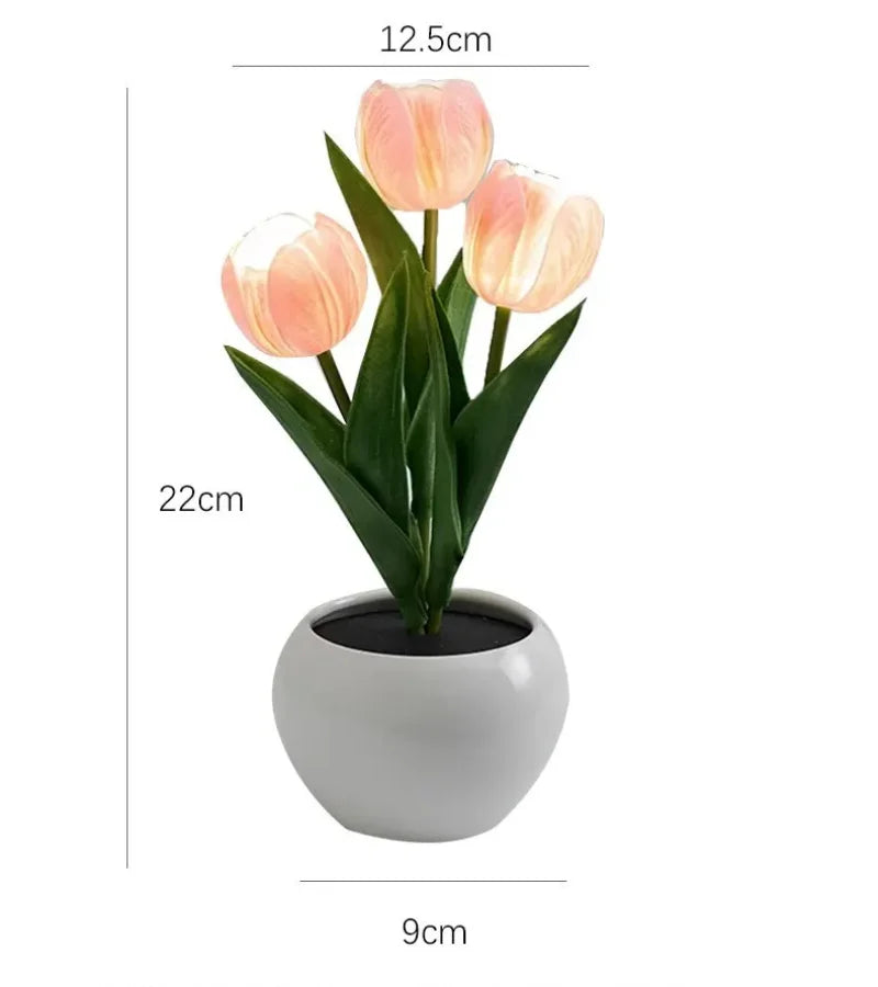 Tulip Nightlight 