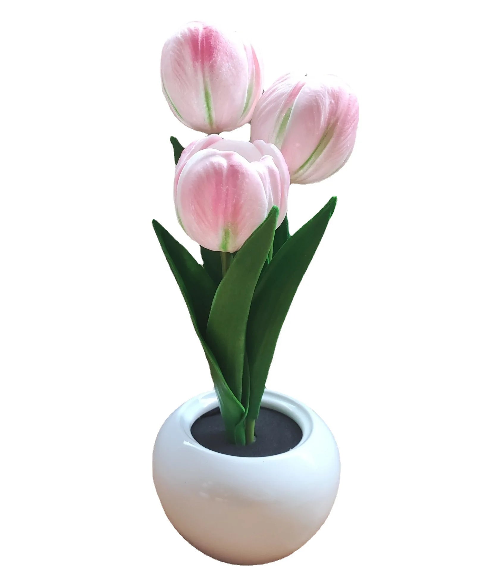 Tulip Nightlight 