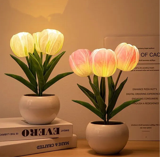 Tulip Nightlight